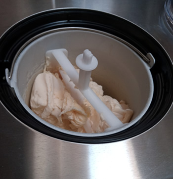 Sorbet au Melon